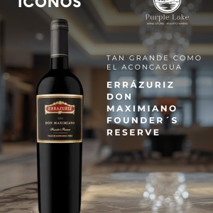 Errazuriz Don Maximiano Ensamblaje Ícono 2021 750cc - Selección Cyber Lake