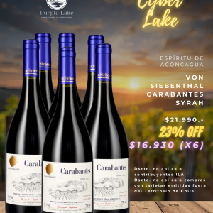 Von Siebenthal Carabantes Syrah Premium 2023 750cc (Caja Cyber Lake)