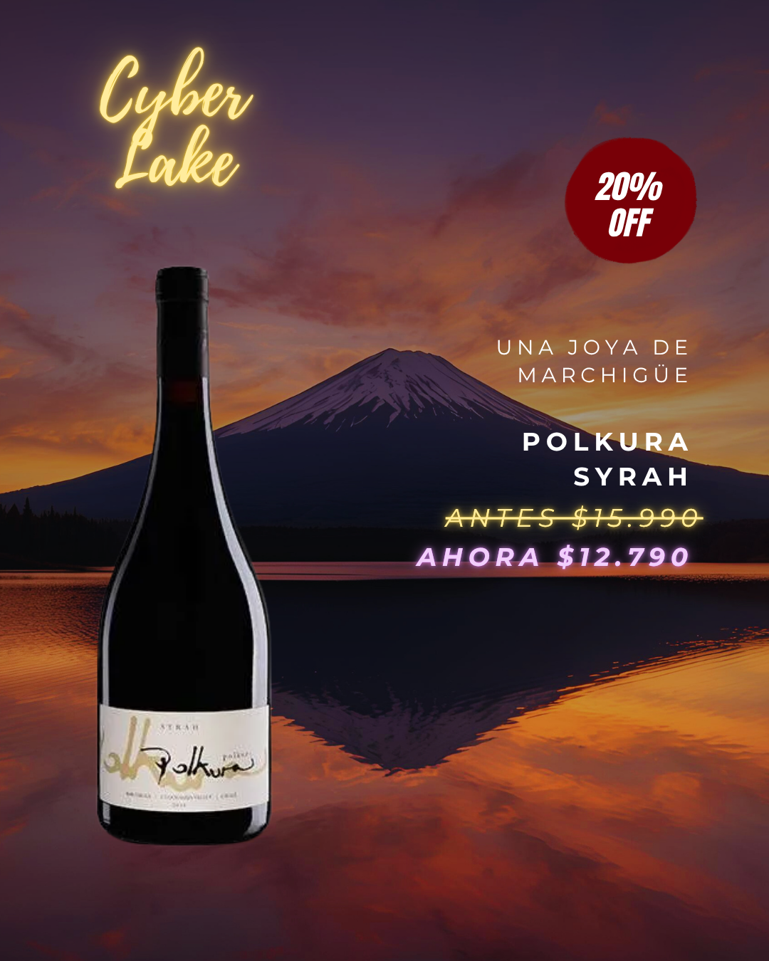 Polkura Syrah Premium 750cc - Imagen 3
