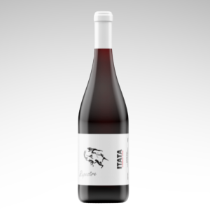 Viña Gonzalo Santibañez Rupestre Cinsault Gran Reserva 2024 750cc