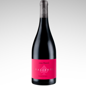 Casa Bauzá Valiente Cabernet Sauvignon Premium 2021 750cc