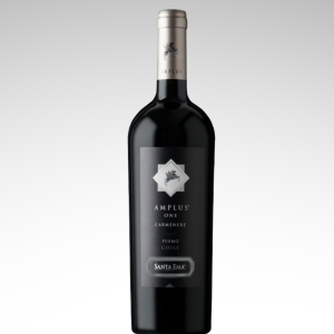 Santa Ema Amplus One Carmenere Premium 750cc