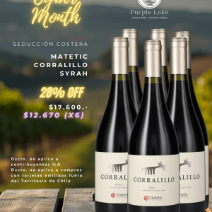 Caja 6 Unidades Matetic Corralillo Syrah 2022 750cc (Cyber Lake)