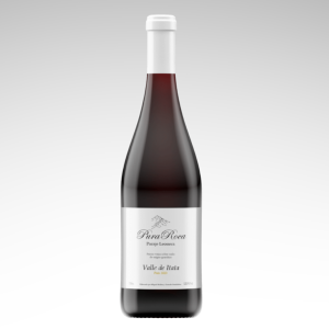 Viña Gonzalo Santibañez Pura Roca País Gran Reserva 2023 750cc