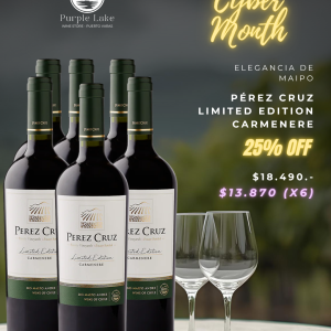Perez Cruz Limited Edition Carmenere Gran Reserva 750cc (Caja Cyber Lake)