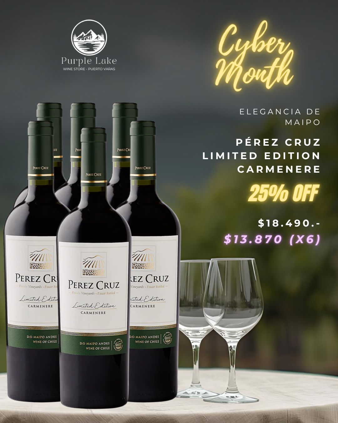Perez Cruz Limited Edition Carmenere Gran Reserva 750cc (Caja Cyber Lake)