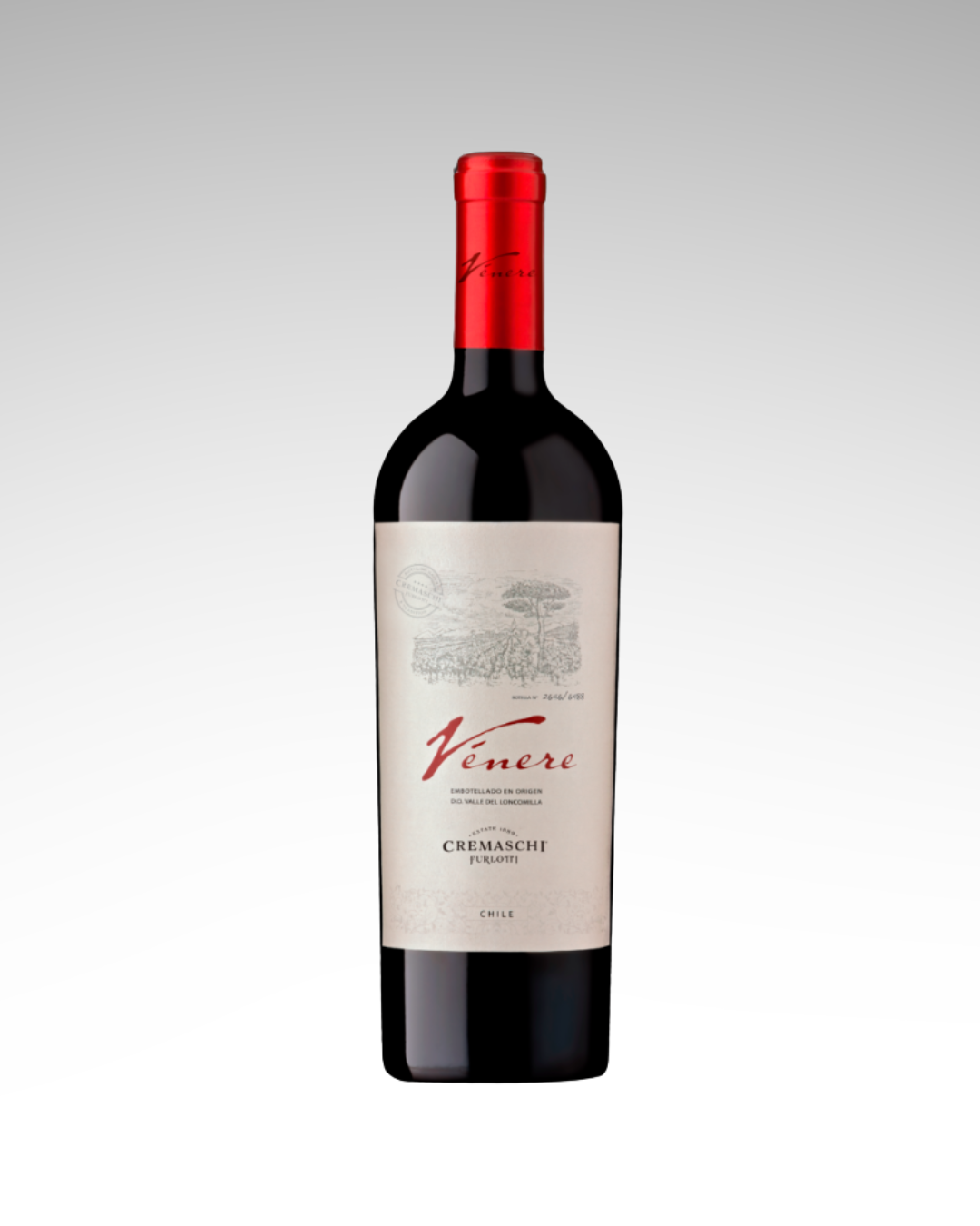 Cremaschi Furlotti Venere Ensamblaje Ícono 2019 750cc