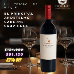 El Principal Andetelmo Cabernet Sauvignon Ícono 2021 750cc - Selección Cyber Lake