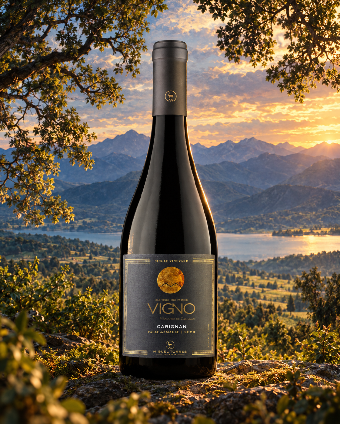 Miguel Torres Cordillera Vigno Carignan Premium 750cc