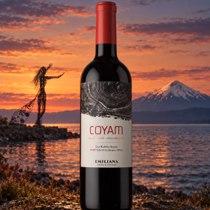 Emiliana Coyam Ensamblaje Super Premium Sy/Ca/CS 750cc
