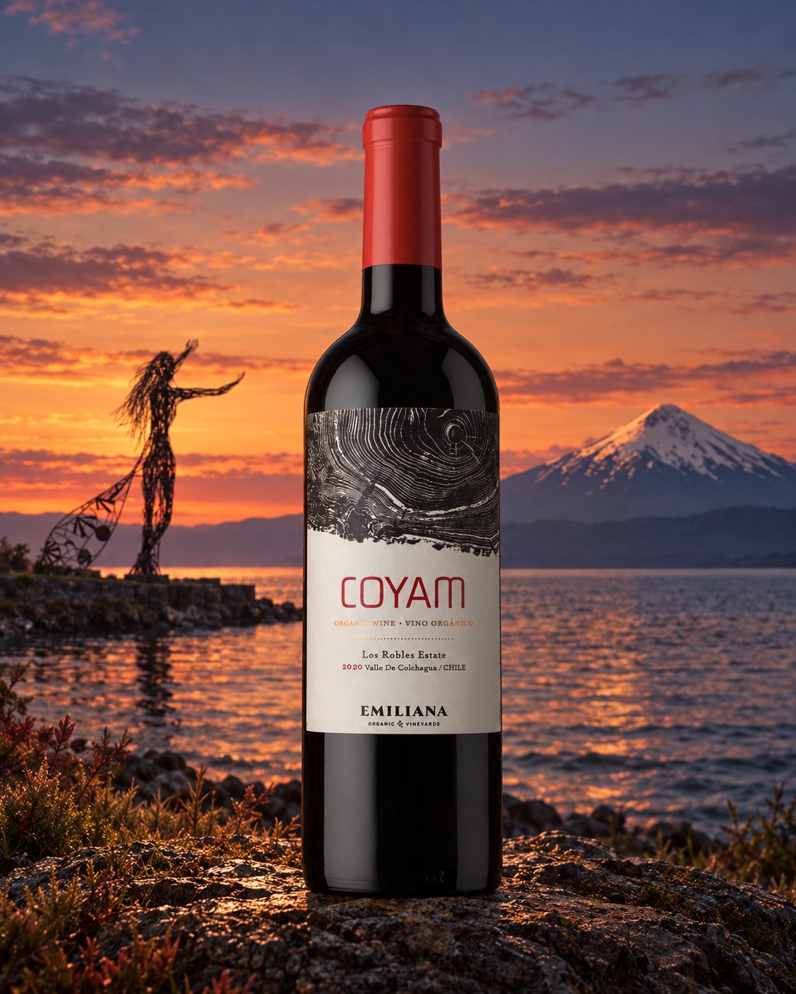 Emiliana Coyam Ensamblaje Super Premium Sy/Ca/CS 750cc